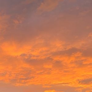 Meet your Posher, Nunya